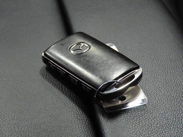 2025 Mazda CX-50 2.5 S Preferred