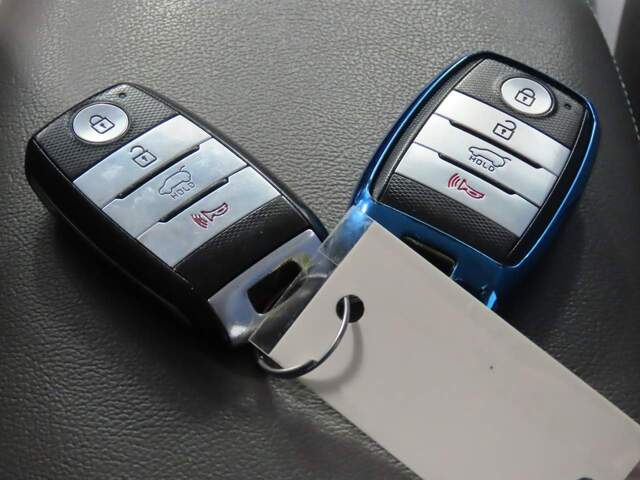 2015 Kia Soul EV +