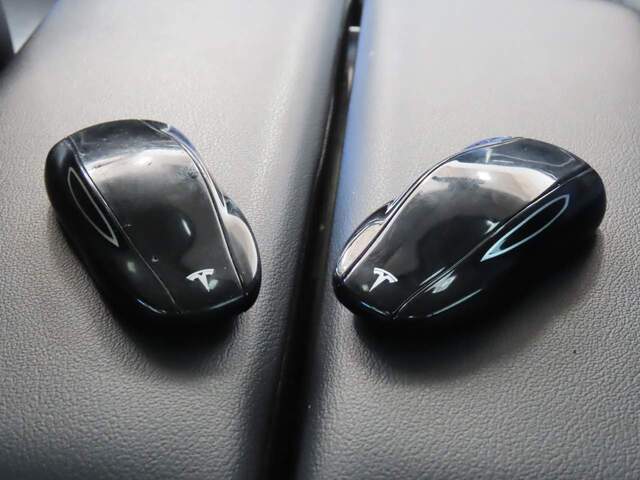 2015 Tesla Model S P85D